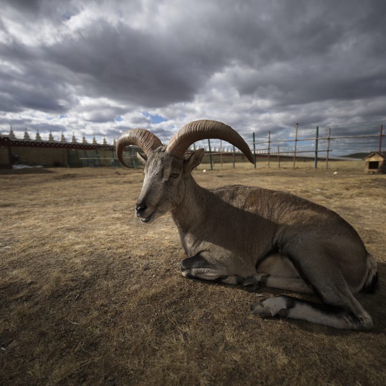 Tranquility meets wild beauty under stormy skies.