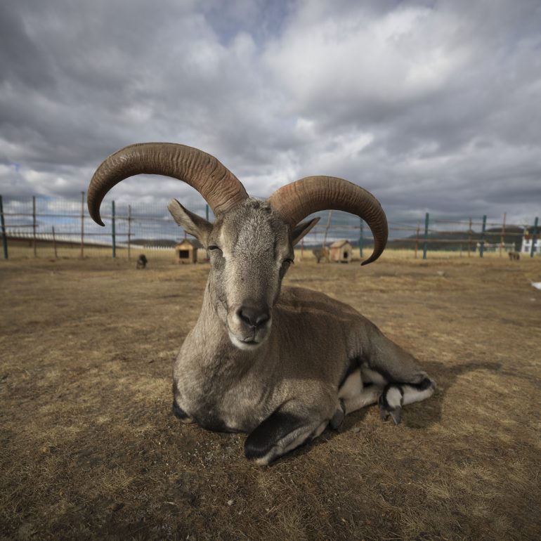 The bahral here seems to greet visitors with a smile—Muya Great Monastery’s charming secret.